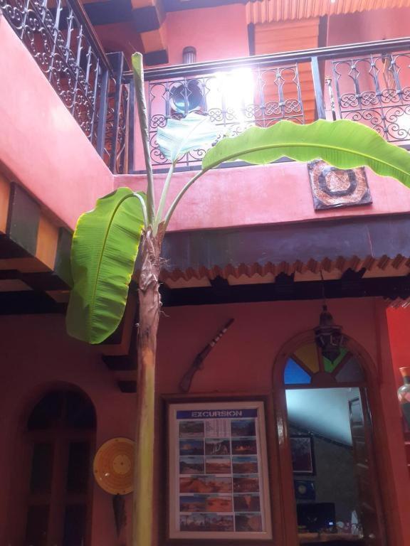 מרקש Riad Hanafi מראה חיצוני תמונה